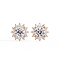 Oval Cut Lab Grown Diamond Floral Halo Stud Earrings