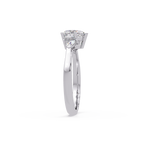 Heart Cut Three Stone Engagement Ring