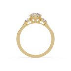 Heart Cut Three Stone Engagement Ring