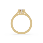Princess Cut Solitaire Split Shank Engagement Ring