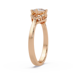 Princess & Round Cut Diamond Ladies Ring